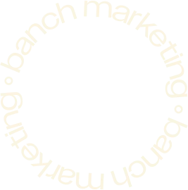 Professional in digital marketing working on social media ads and audience targeting strategy